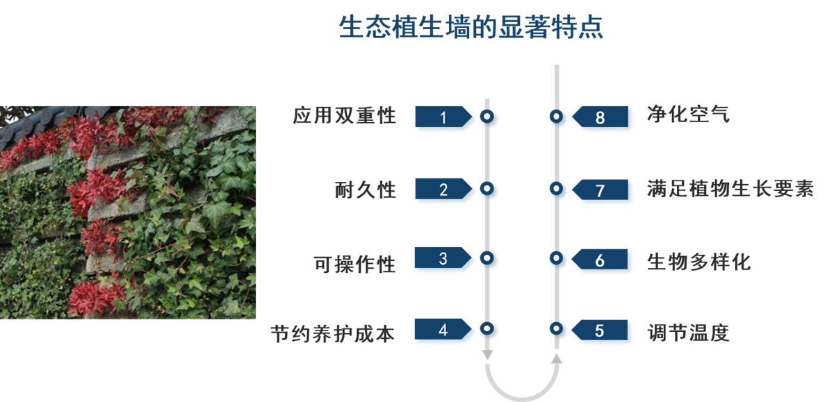 水泥木质（骨料）植生混凝土4.jpg