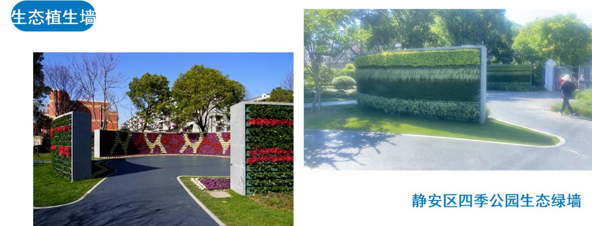 水泥木质（骨料）植生混凝土7.jpg