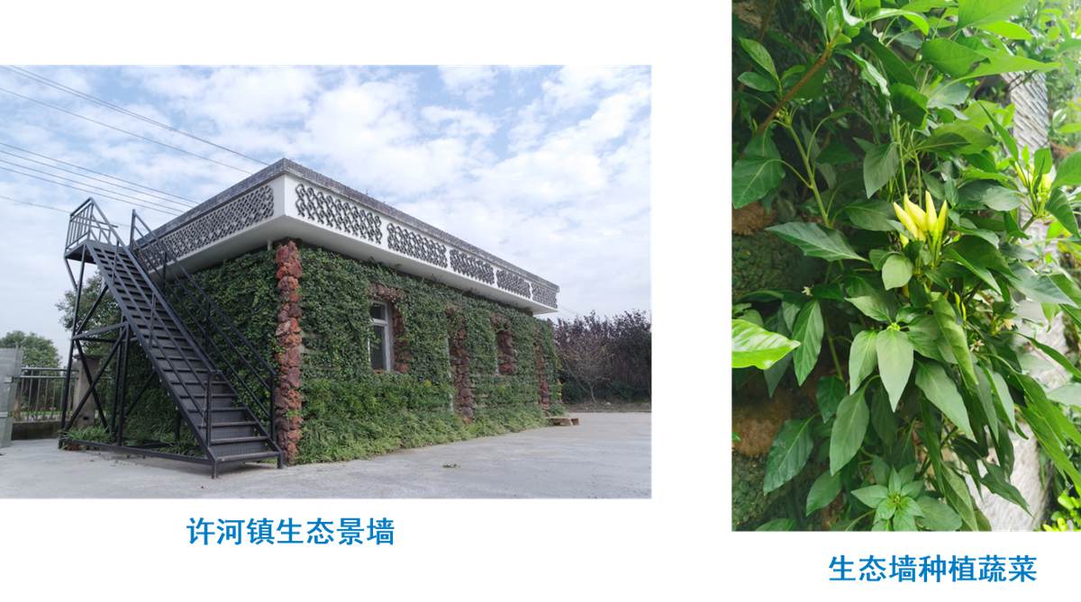 水泥木质（骨料）植生混凝土9.jpg