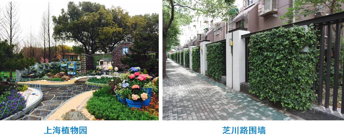 水泥木质（骨料）植生混凝土10.jpg