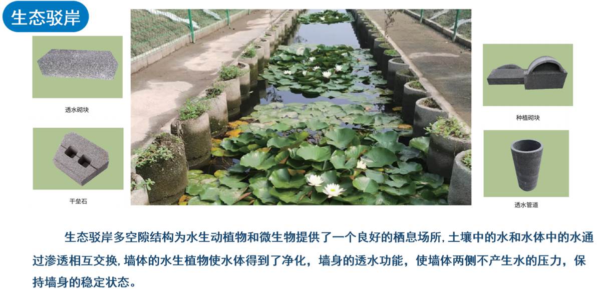 水泥木质（骨料）透水混凝土8.jpg