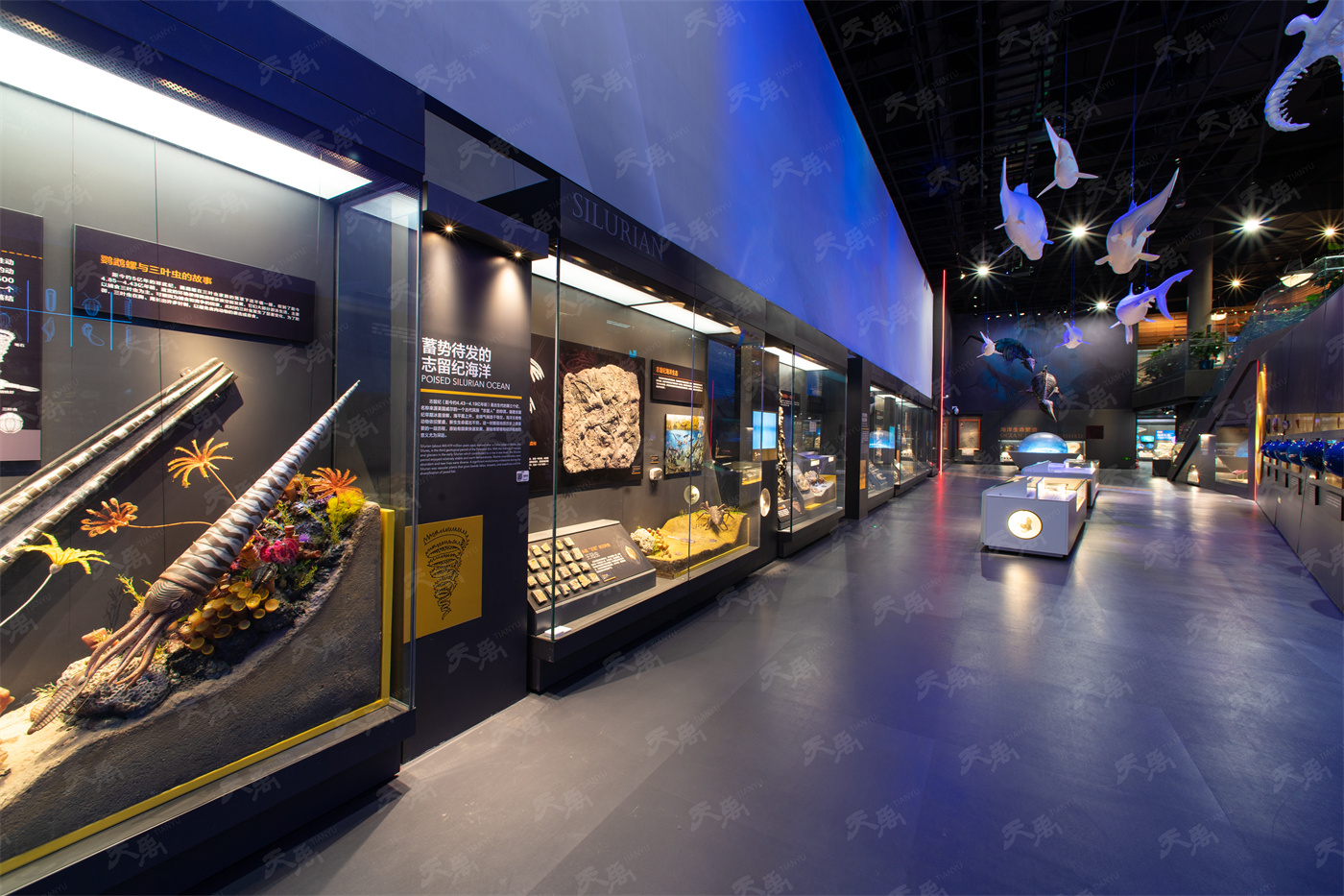 港澳赤兔版资料网