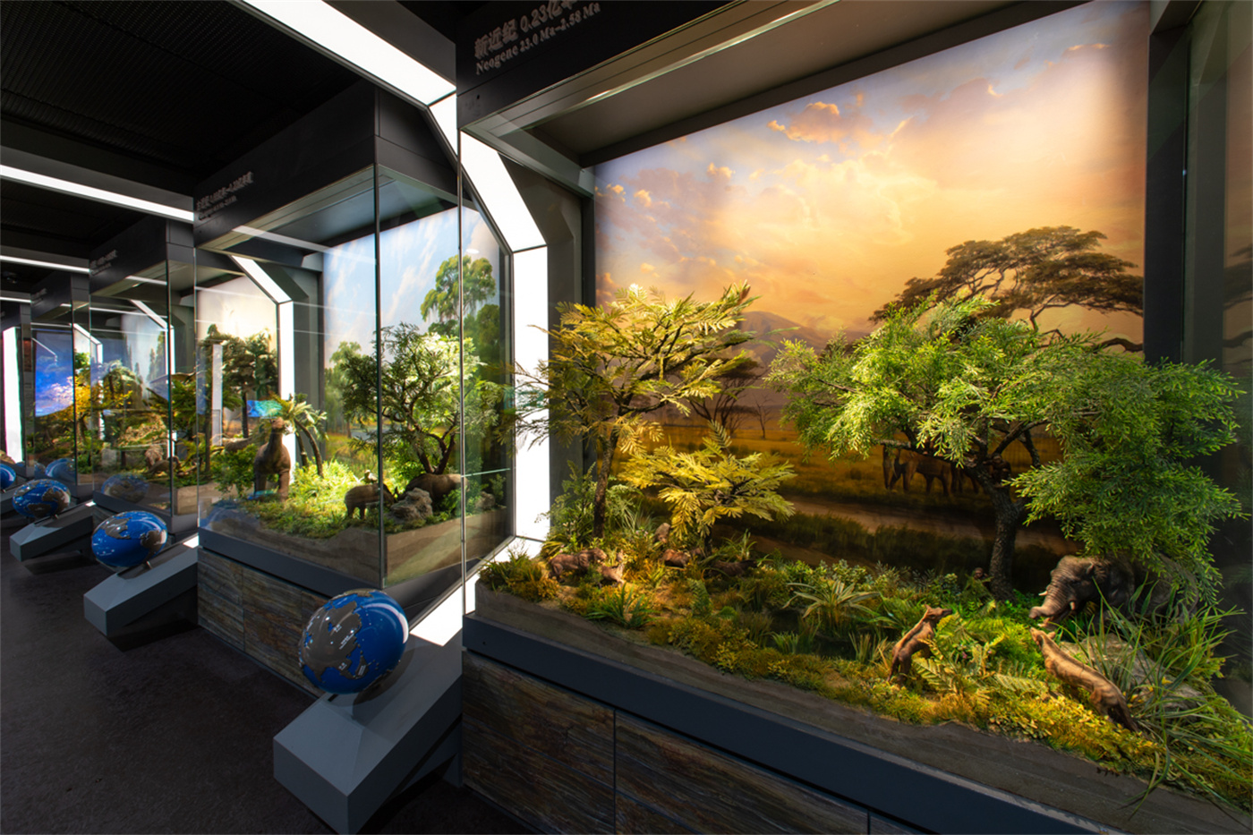 港澳赤兔版资料网