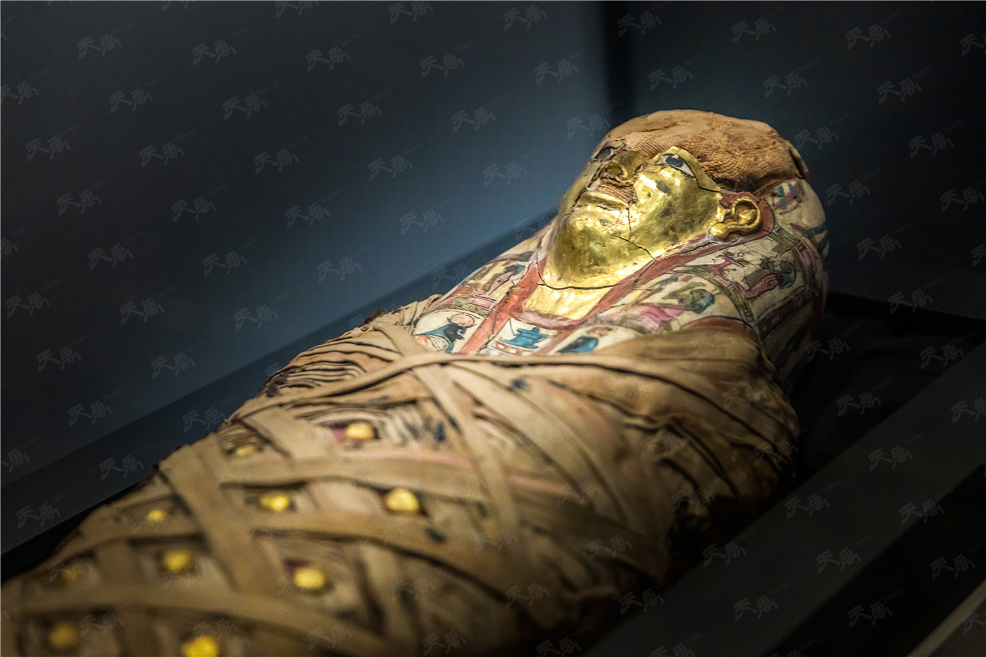 港澳赤兔版资料网